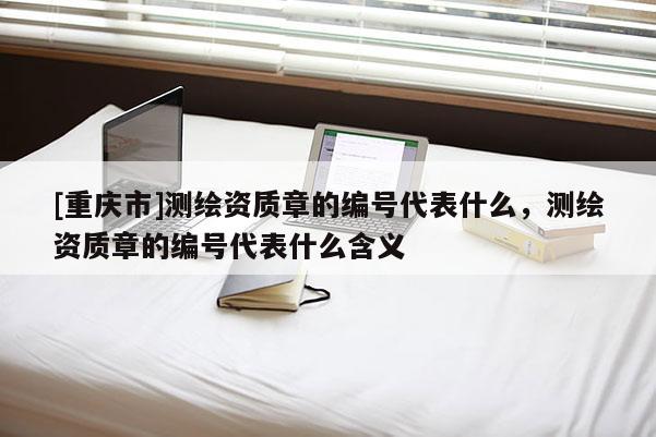 [重慶市]測繪資質(zhì)章的編號代表什么，測繪資質(zhì)章的編號代表什么含義