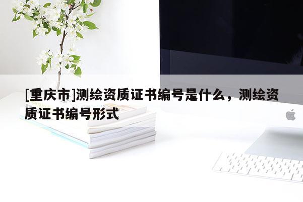 [重慶市]測繪資質證書編號是什么，測繪資質證書編號形式