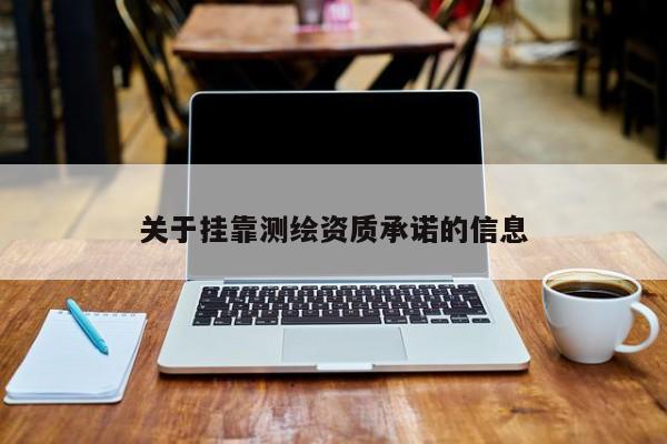 關(guān)于 *** 測(cè)繪資質(zhì)承諾的信息