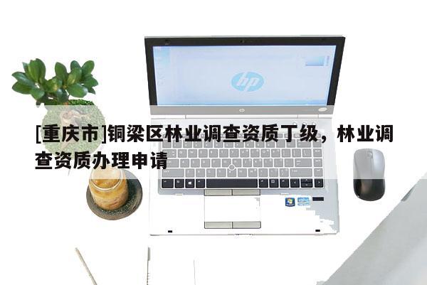 [重慶市]銅梁區(qū)林業(yè)調(diào)查資質(zhì)丁級，林業(yè)調(diào)查資質(zhì)辦理申請