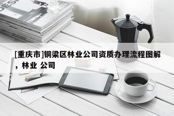[重慶市]銅梁區(qū)林業(yè)公司資質(zhì)辦理流程圖解，林業(yè) 公司