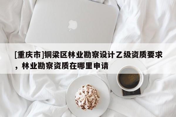 [重慶市]銅梁區(qū)林業(yè)勘察設(shè)計(jì)乙級(jí)資質(zhì)要求，林業(yè)勘察資質(zhì)在哪里申請(qǐng)